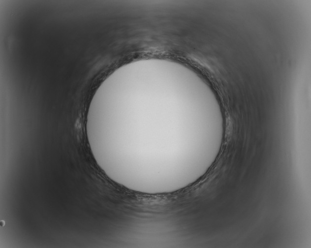 X0000089941254200706290808