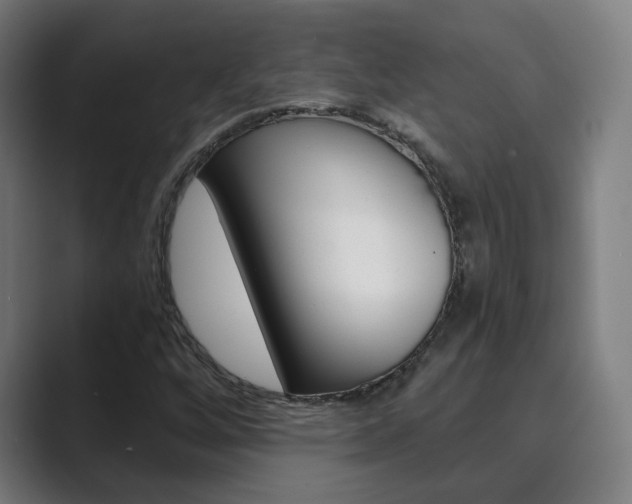 X0000089941256200706290808