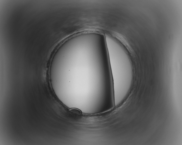 X0000089941260200706290808