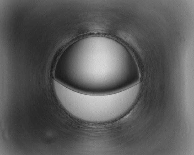 X0000089941261200706290808