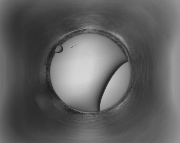 X0000089941263200706290808