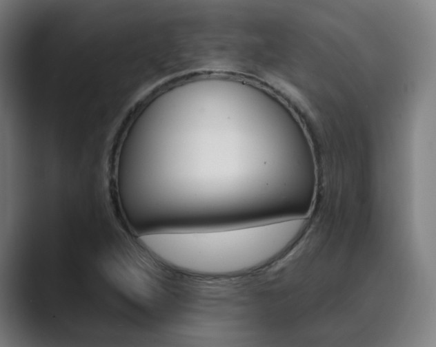 X0000089941264200706290808