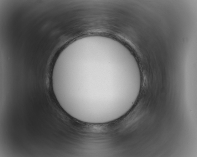 X0000089941266200706290808