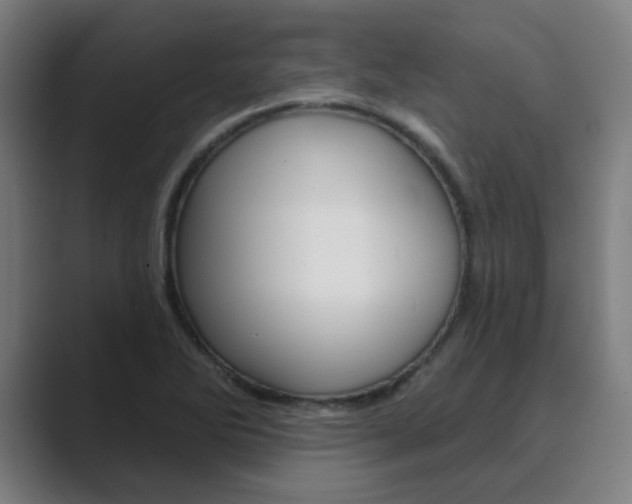 X0000089941270200706290808