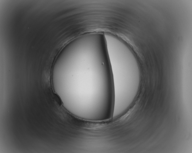 X0000089941273200706290808