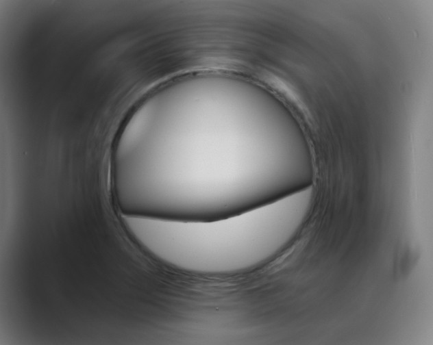 X0000089941275200706290808