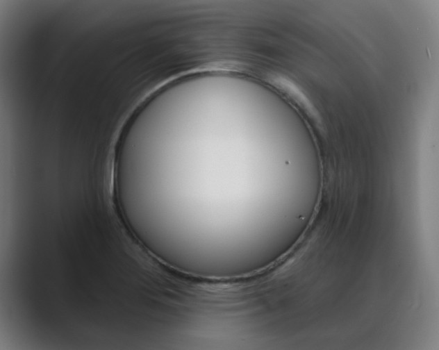 X0000089941276200706290808