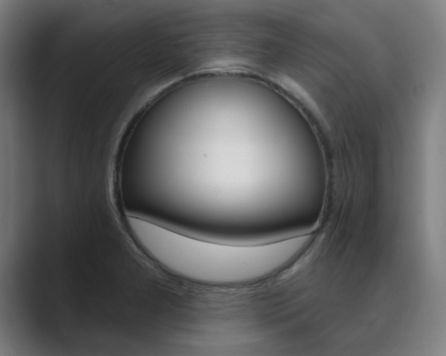 X0000089941277200706290808