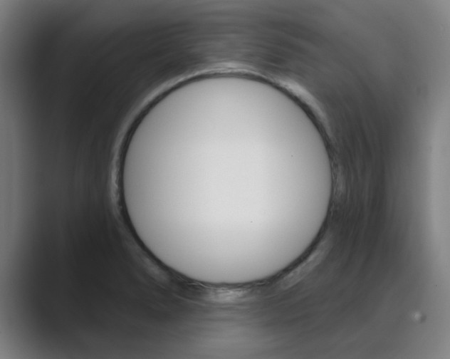 X0000089941278200706290808