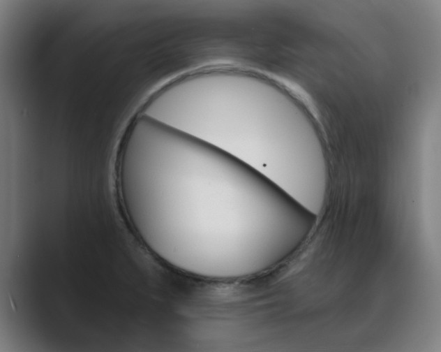 X0000089941279200706290808