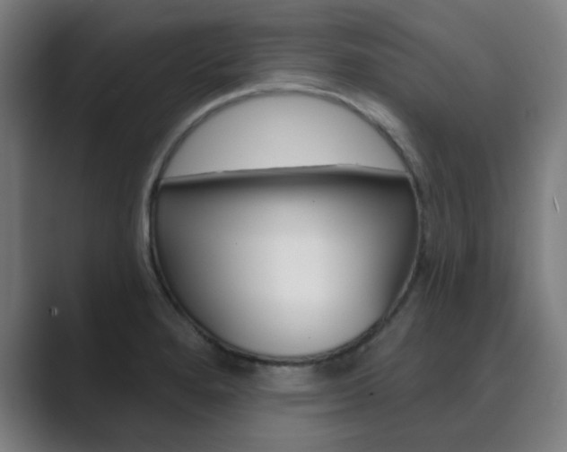 X0000089941280200706290808