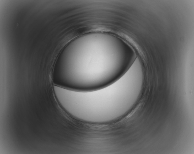 X0000089941281200706290808