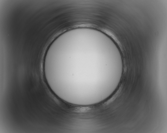 X0000089941282200706290808