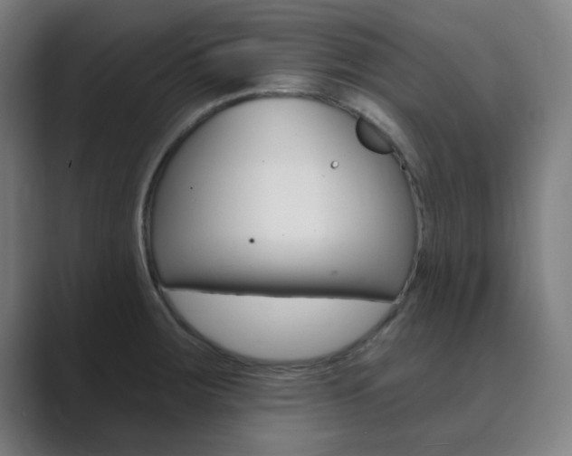X0000089941283200706290808