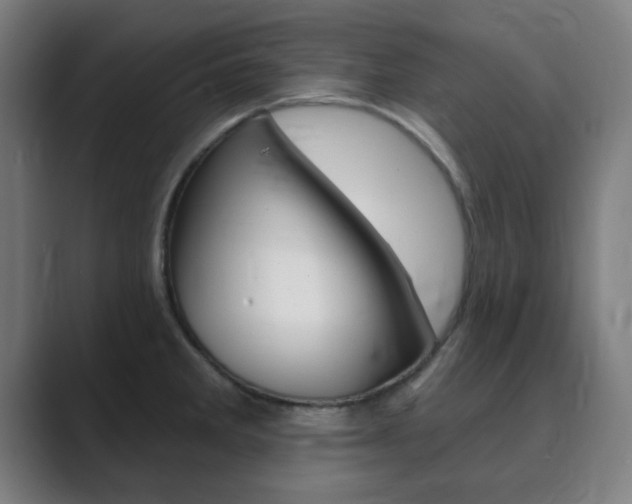 X0000089941285200706290808
