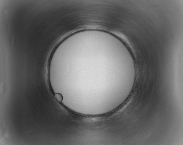 X0000089941286200706290808