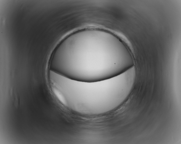 X0000089941287200706290808