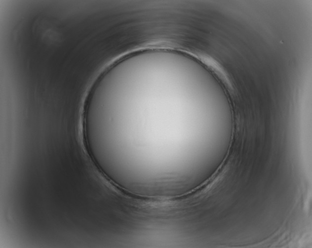 X0000089941288200706290808