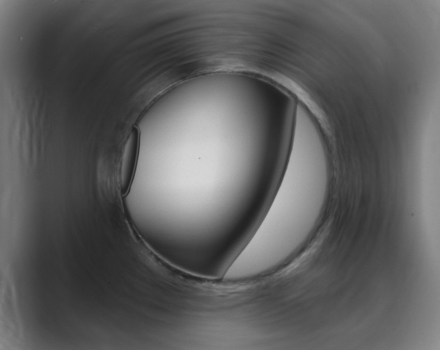 X0000089941289200706290808