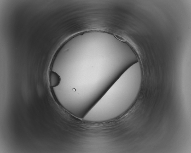 X0000089941291200706290808