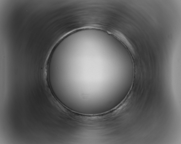 X0000089941292200706290808