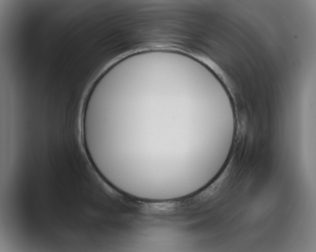 X0000089941294200706290808