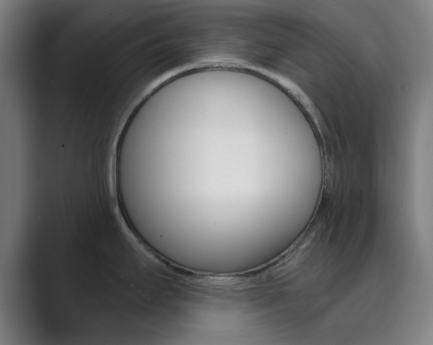 X0000089941295200706290808