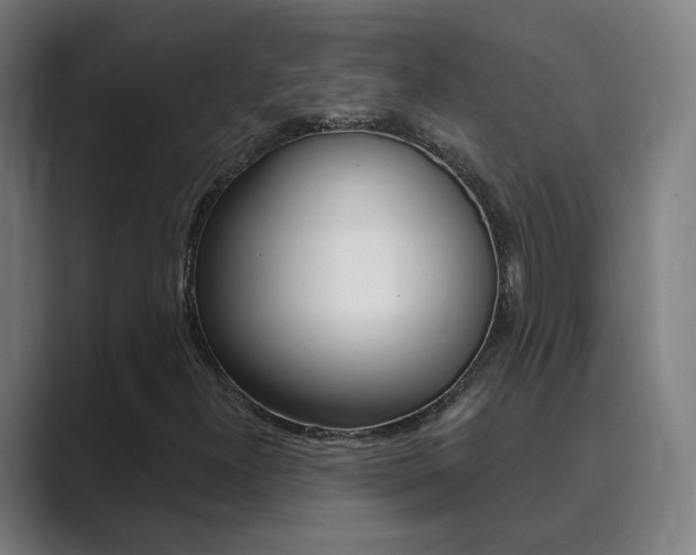 X0000089941300200706290807