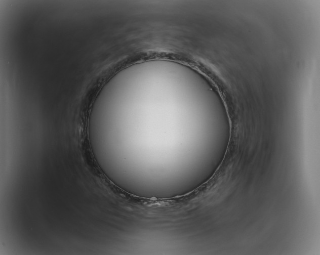 X0000089941303200706290807