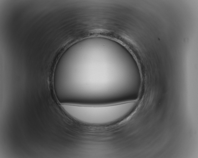 X0000089941305200706290807