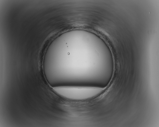 X0000089941306200706290807