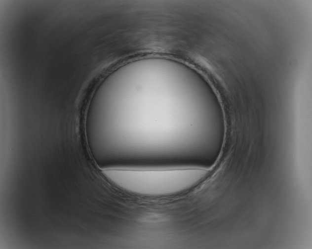 X0000089941307200706290807