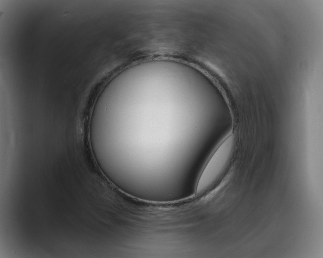 X0000089941309200706290807