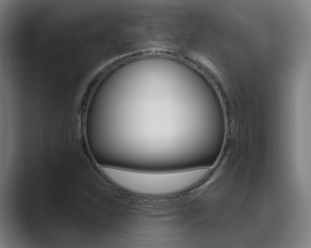X0000089941310200706290807