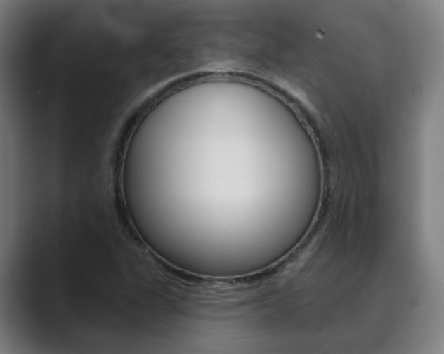 X0000089941311200706290807