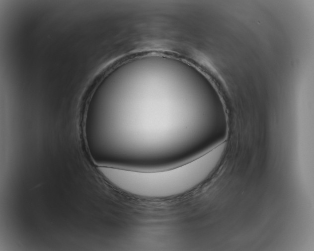 X0000089941312200706290807