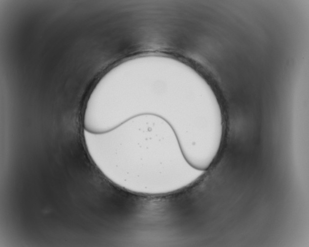 X0000089941314200706290807