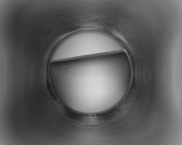 X0000089941315200706290807