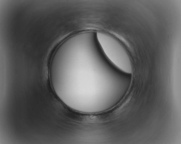 X0000089941317200706290807