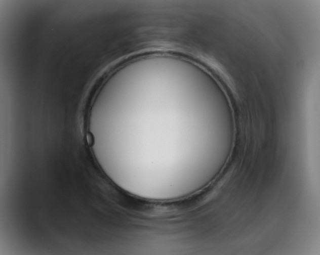X0000089941318200706290807