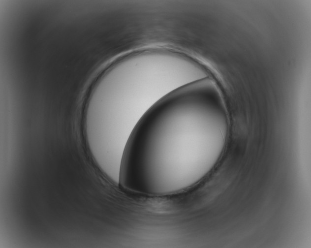 X0000089941319200706290807