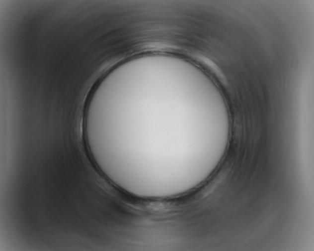X0000089941322200706290807
