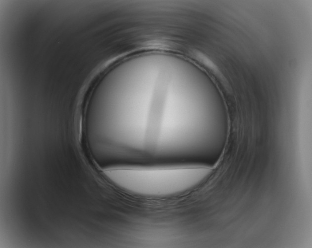 X0000089941323200706290808