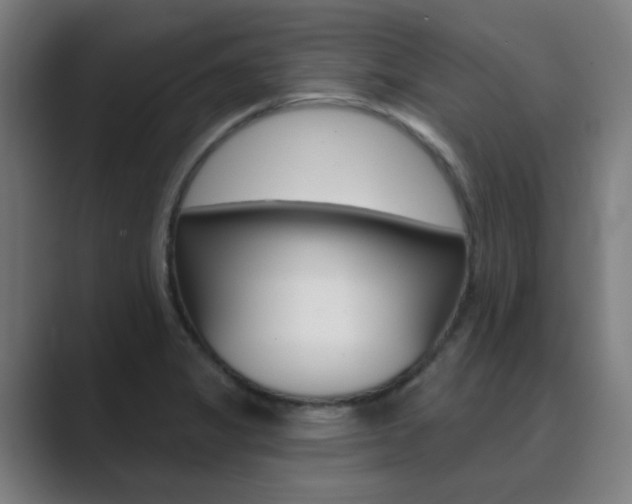 X0000089941325200706290808