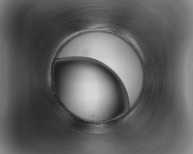 X0000089941328200706290808