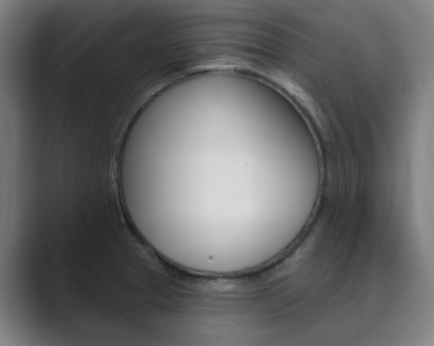 X0000089941329200706290808