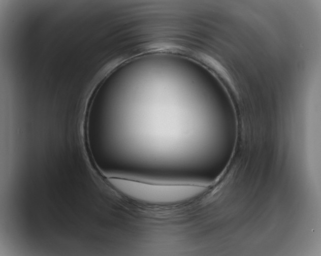 X0000089941330200706290808