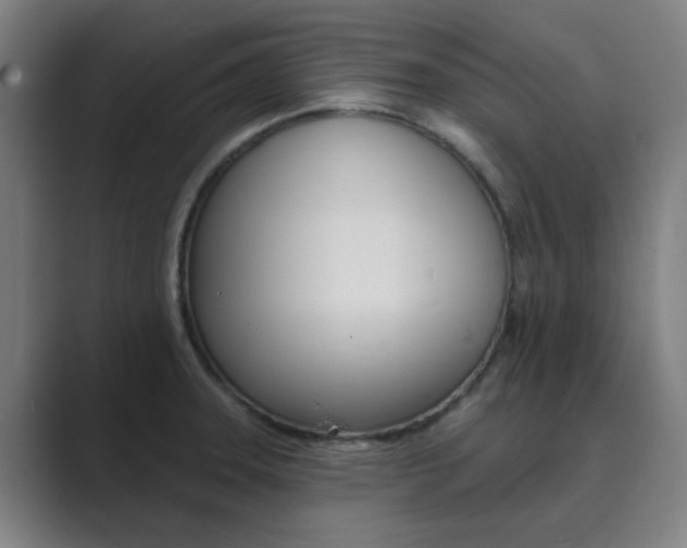 X0000089941331200706290808