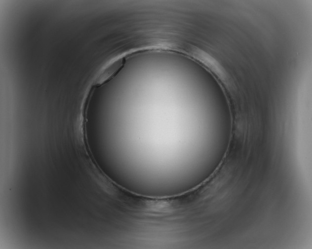 X0000089941332200706290808