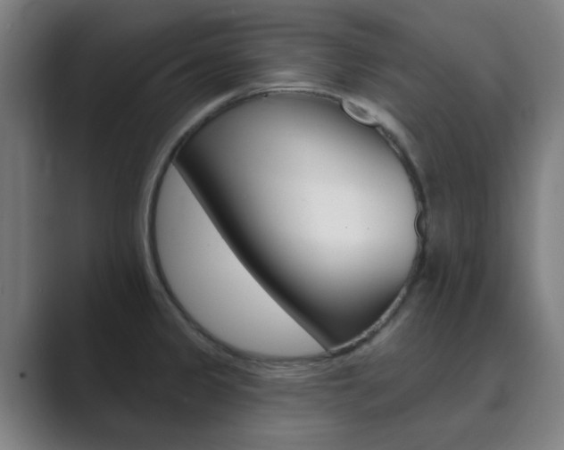 X0000089941333200706290808